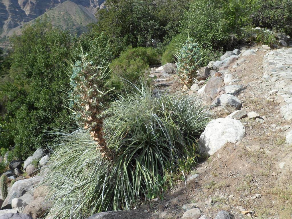 Cabanas El Cielo San José de Maipo Pokój zdjęcie